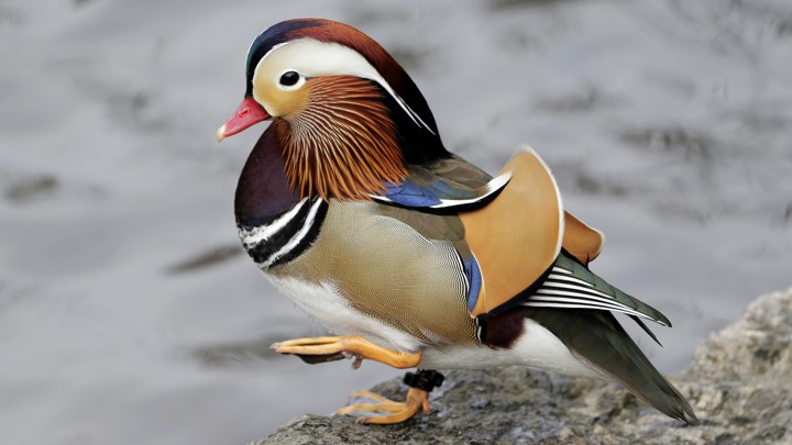 Photo shared by Robert Mcnamara